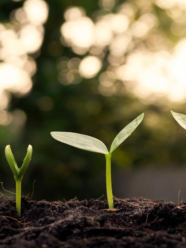 Individuelle Konzepte für Unternehmen & Organisationen